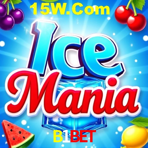 B1Bet Rio de Janeiro - Bonus Terms